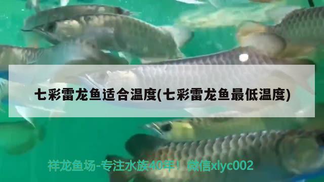 七彩雷龍魚適合溫度(七彩雷龍魚最低溫度)