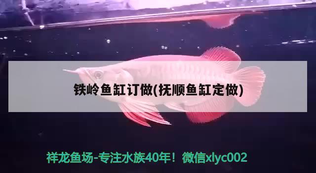 鐵嶺魚缸訂做(撫順魚缸定做)