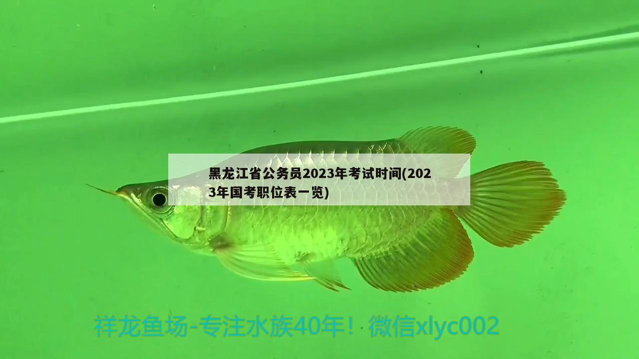 黑龍江省公務(wù)員2023年考試時(shí)間(2023年國(guó)考職位表一覽)