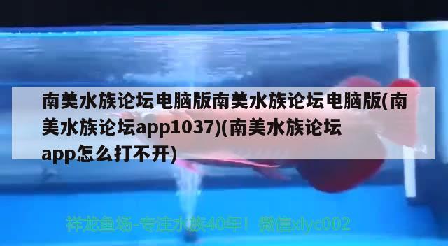 南美水族論壇電腦版南美水族論壇電腦版(南美水族論壇app1037)(南美水族論壇app怎么打不開(kāi))