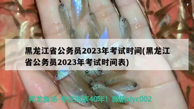 黑龍江省公務(wù)員2023年考試時(shí)間(黑龍江省公務(wù)員2023年考試時(shí)間表)