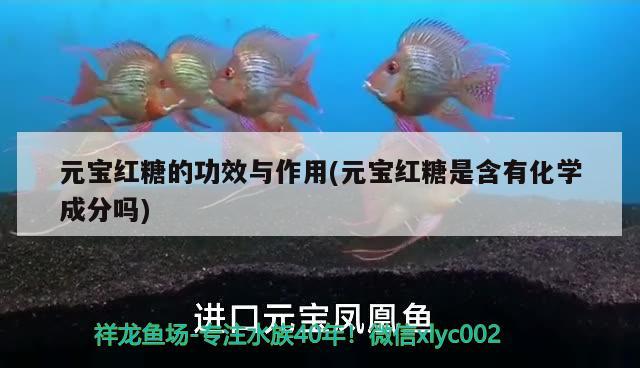 元寶紅糖的功效與作用(元寶紅糖是含有化學(xué)成分嗎) 觀賞魚