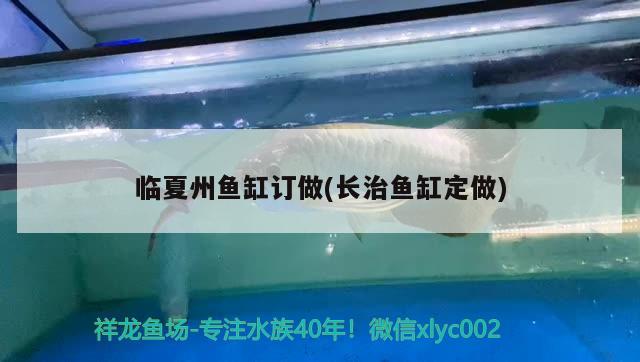 臨夏州魚缸訂做(長治魚缸定做) 白子關刀魚