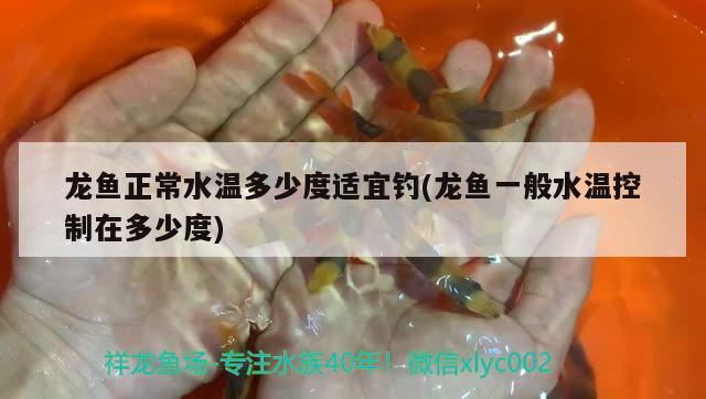 龍魚正常水溫多少度適宜釣(龍魚一般水溫控制在多少度)