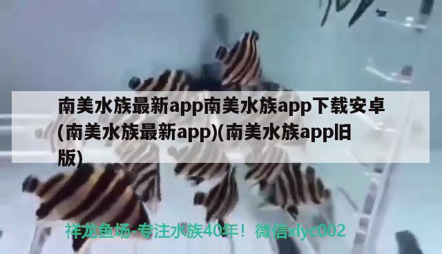 南美水族最新app南美水族app下載安卓(南美水族最新app)(南美水族app舊版) 野生地圖魚