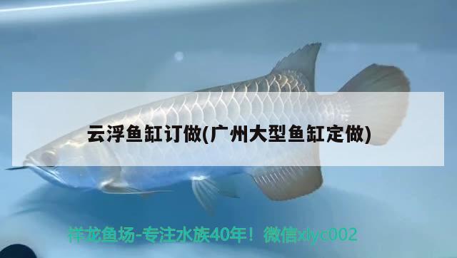 云浮魚缸訂做(廣州大型魚缸定做) 魚缸凈水劑