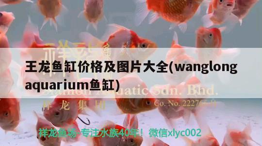 王龍魚缸價格及圖片大全(wanglongaquarium魚缸) 國產元寶鳳凰魚