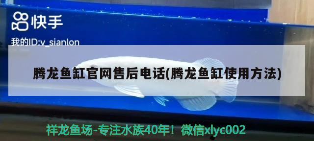 騰龍魚缸官網售后電話(騰龍魚缸使用方法) 紅龍福龍魚