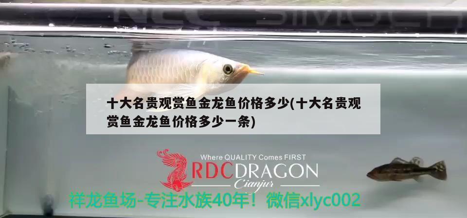 十大名貴觀賞魚金龍魚價格多少(十大名貴觀賞魚金龍魚價格多少一條)