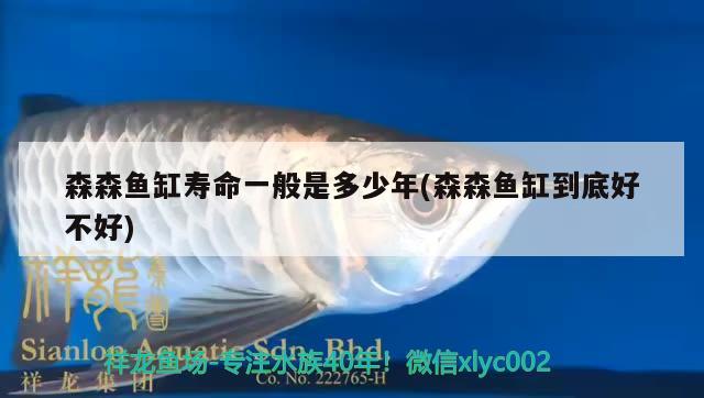 森森魚(yú)缸壽命一般是多少年(森森魚(yú)缸到底好不好) 飛鳳魚(yú)