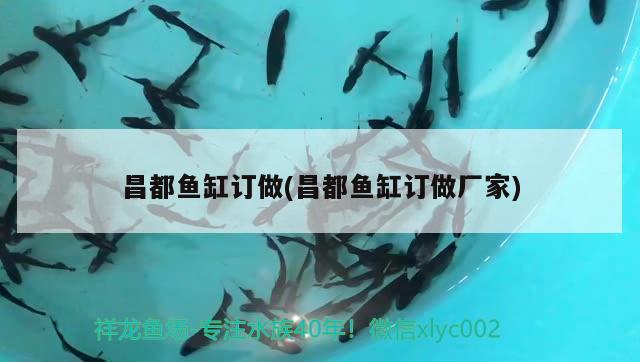 昌都魚缸訂做(昌都魚缸訂做廠家)