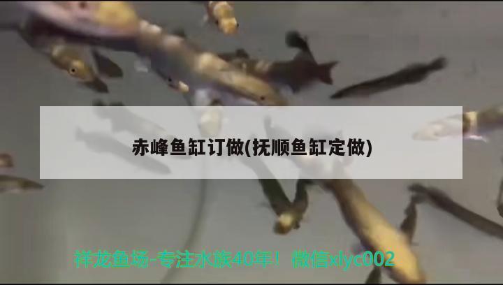 赤峰魚缸訂做(撫順魚缸定做)