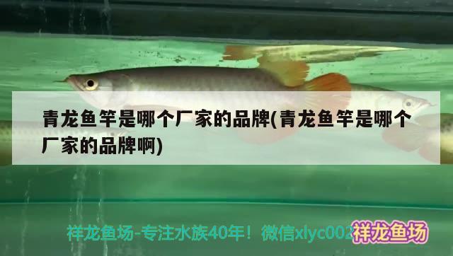 青龍魚竿是哪個廠家的品牌(青龍魚竿是哪個廠家的品牌啊) 垂釣樂園