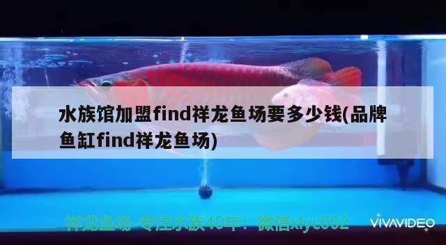 水族館加盟find祥龍魚場要多少錢(品牌魚缸find祥龍魚場) 祥龍魚場