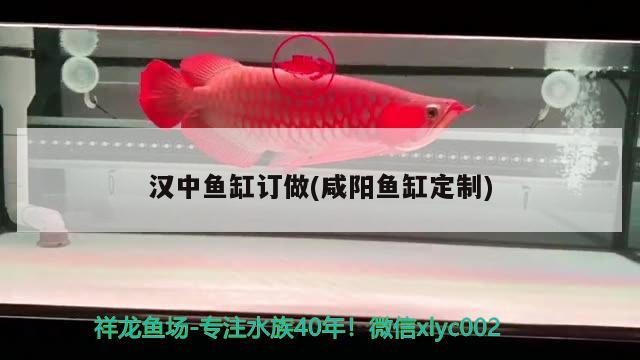 漢中魚缸訂做(咸陽(yáng)魚缸定制)