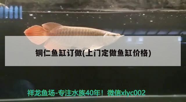 銅仁魚缸訂做(上門定做魚缸價(jià)格) 虎斑恐龍魚