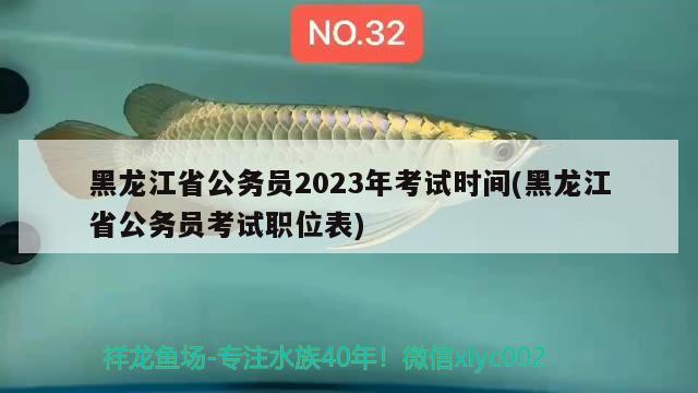 黑龍江省公務(wù)員2023年考試時(shí)間(黑龍江省公務(wù)員考試職位表)