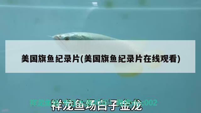 美國旗魚紀(jì)錄片(美國旗魚紀(jì)錄片在線觀看)