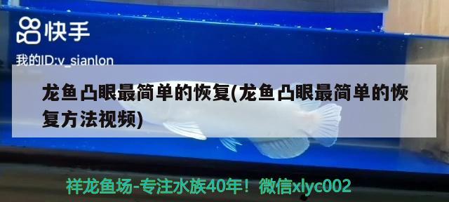 龍魚凸眼最簡單的恢復(龍魚凸眼最簡單的恢復方法視頻) 金頭過背金龍魚