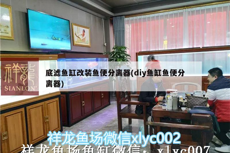 底濾魚缸改裝魚便分離器(diy魚缸魚便分離器) 溫控設(shè)備