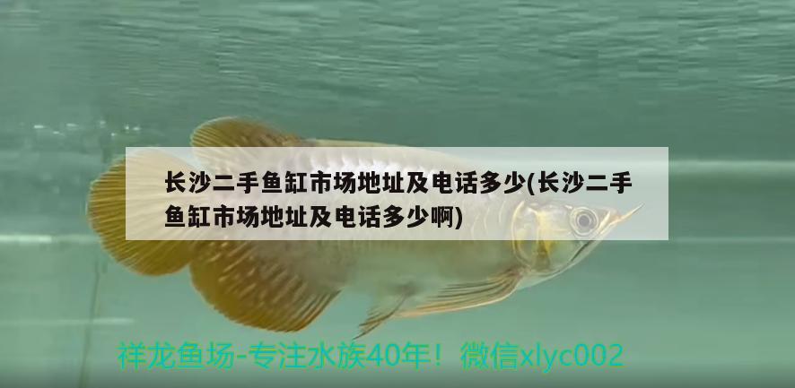 長沙二手魚缸市場(chǎng)地址及電話多少(長沙二手魚缸市場(chǎng)地址及電話多少啊) 南美異形觀賞魚