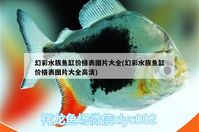 幻彩水族魚缸價(jià)格表圖片大全(幻彩水族魚缸價(jià)格表圖片大全高清)