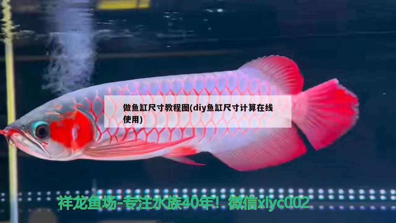 做魚缸尺寸教程圖(diy魚缸尺寸計算在線使用) 白化巴西龜（白巴）