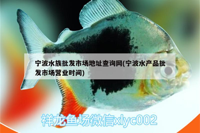 寧波水族批發(fā)市場地址查詢網(寧波水產品批發(fā)市場營業(yè)時間)