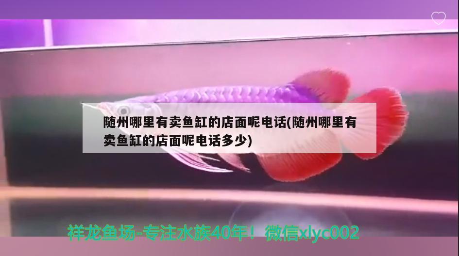 隨州哪里有賣魚缸的店面呢電話(隨州哪里有賣魚缸的店面呢電話多少) 白子關刀魚