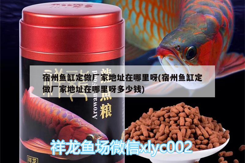 宿州魚(yú)缸定做廠家地址在哪里呀(宿州魚(yú)缸定做廠家地址在哪里呀多少錢) 可麗愛(ài)魚(yú)缸