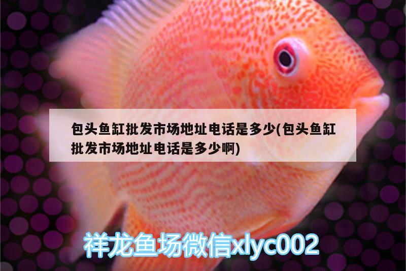 包頭魚缸批發(fā)市場地址電話是多少(包頭魚缸批發(fā)市場地址電話是多少啊) 水族世界