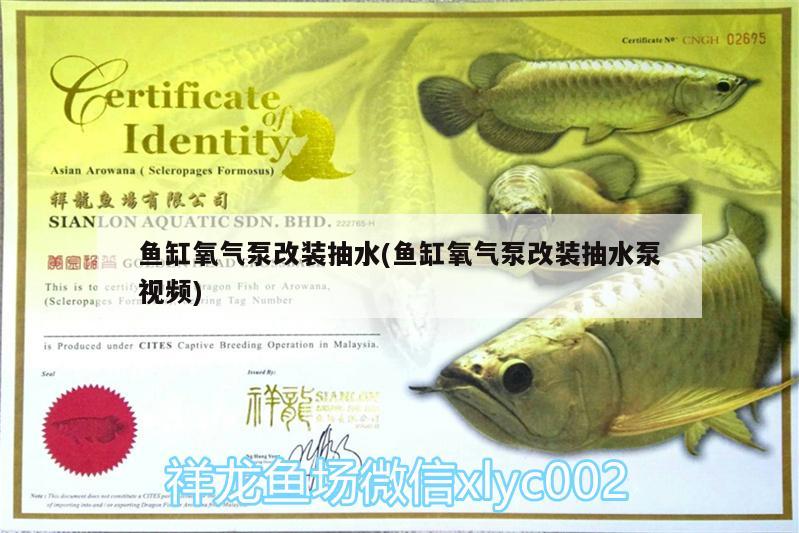 魚缸氧氣泵改裝抽水(魚缸氧氣泵改裝抽水泵視頻)