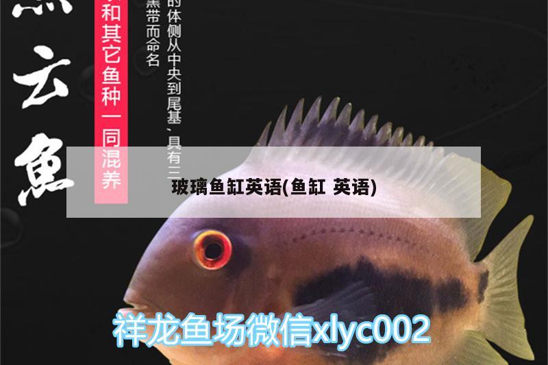 玻璃魚(yú)缸英語(yǔ)(魚(yú)缸英語(yǔ))