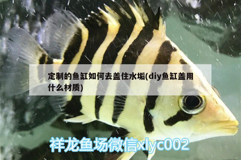 定制的魚缸如何去蓋住水垢(diy魚缸蓋用什么材質(zhì)) 殺菌消毒設(shè)備