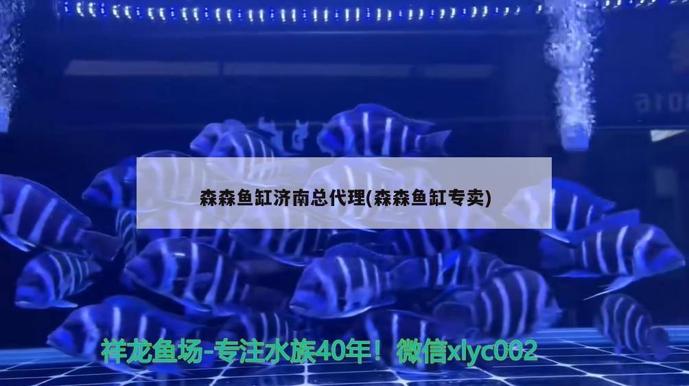 森森魚缸濟南總代理(森森魚缸專賣) 祥龍水族護理水