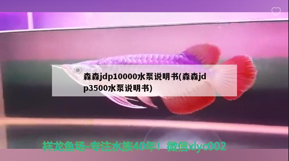 森森jdp10000水泵說明書(森森jdp3500水泵說明書) 白子黑帝王魟魚