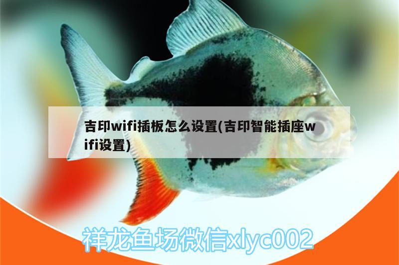 吉印wifi插板怎么設(shè)置(吉印智能插座wifi設(shè)置)