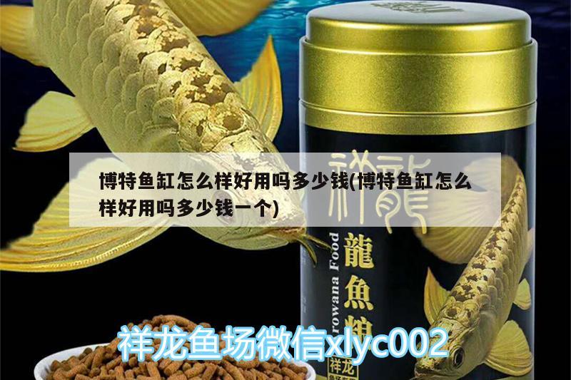 博特魚缸怎么樣好用嗎多少錢(博特魚缸怎么樣好用嗎多少錢一個(gè)) 博特水族