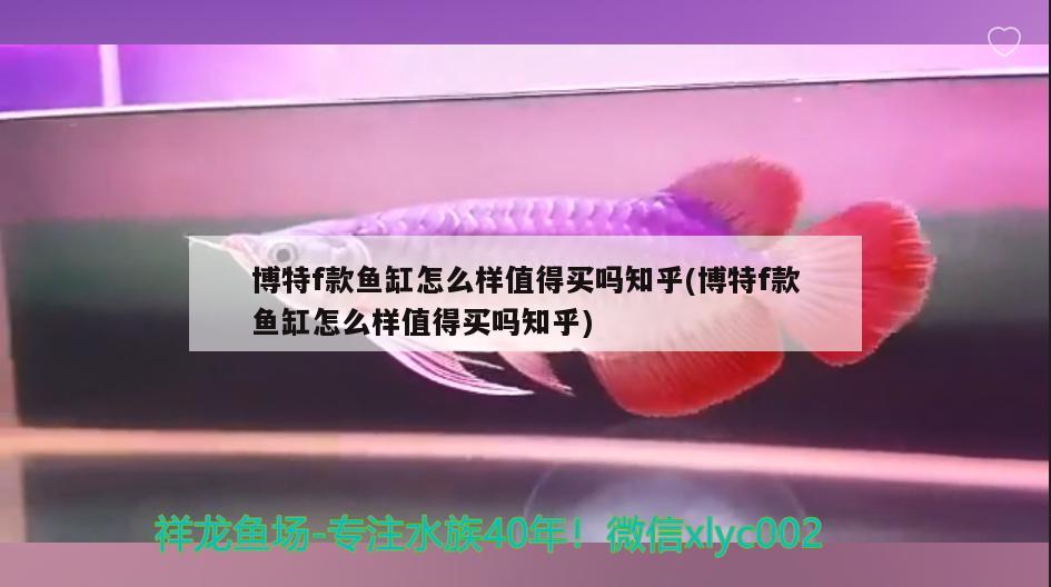 博特f款魚缸怎么樣值得買嗎知乎(博特f款魚缸怎么樣值得買嗎知乎) 博特水族