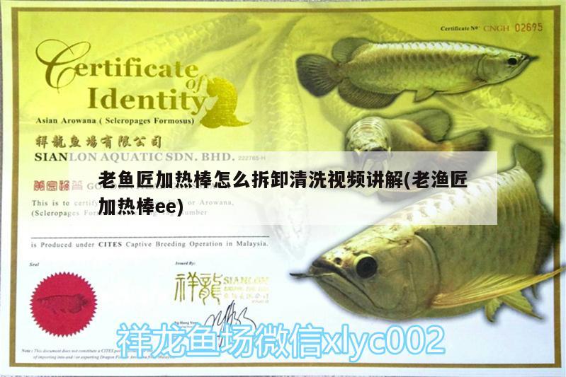 老魚匠加熱棒怎么拆卸清洗視頻講解(老漁匠加熱棒ee) 老魚匠