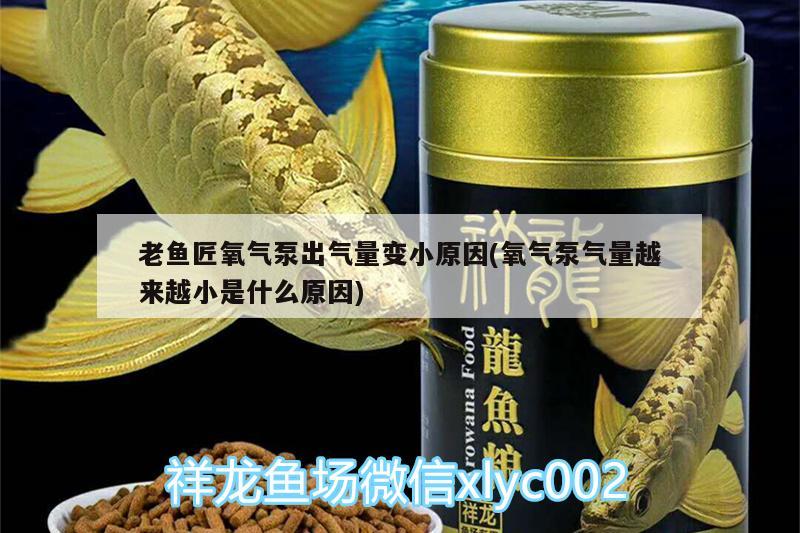 老魚匠氧氣泵出氣量變小原因(氧氣泵氣量越來越小是什么原因)