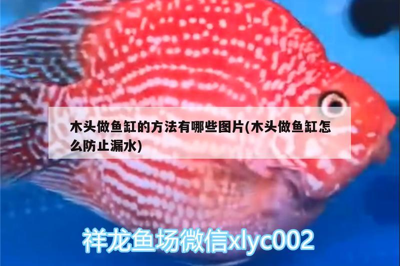 木頭做魚缸的方法有哪些圖片(木頭做魚缸怎么防止漏水) 斑馬鴨嘴魚