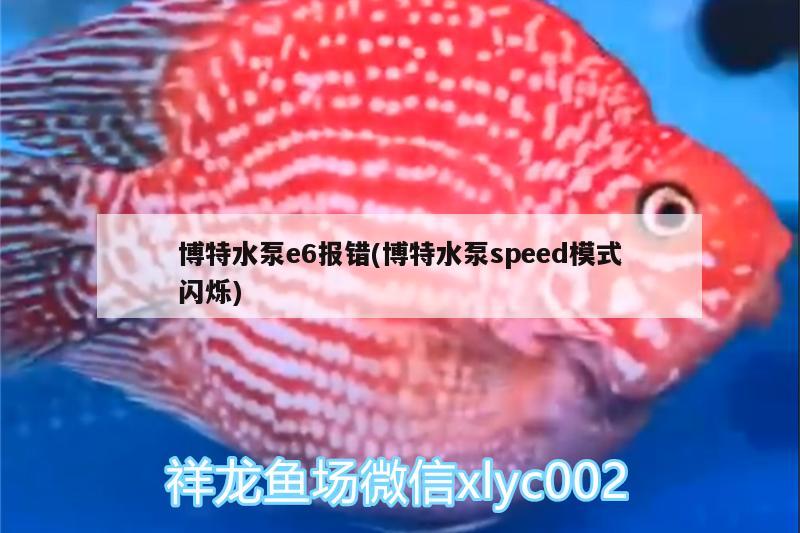 博特水泵e6報錯(博特水泵speed模式閃爍)