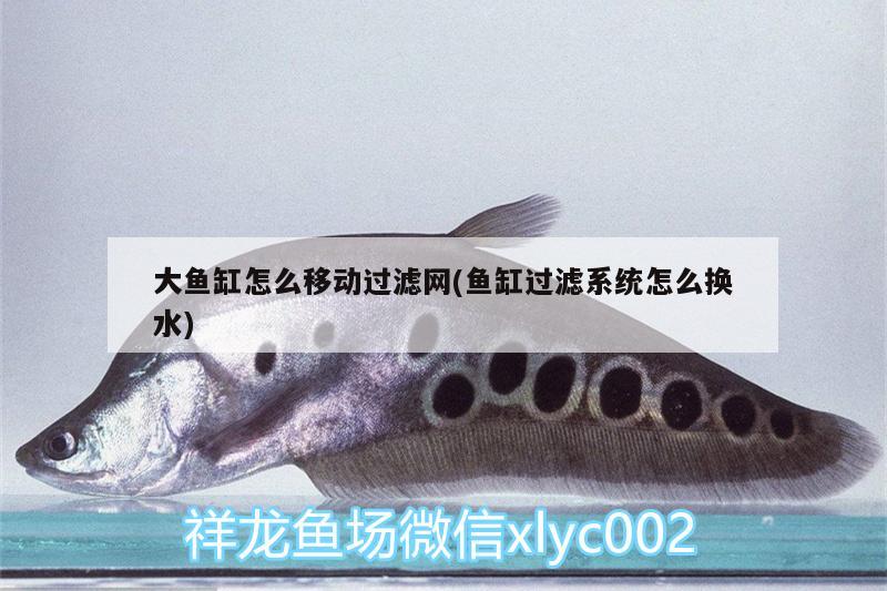 大魚缸怎么移動過濾網(wǎng)(魚缸過濾系統(tǒng)怎么換水)