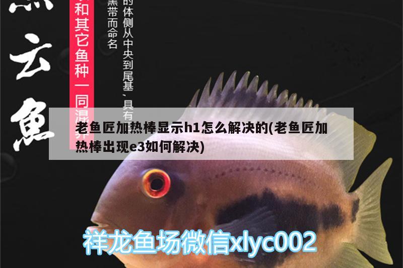 老魚匠加熱棒顯示h1怎么解決的(老魚匠加熱棒出現(xiàn)e3如何解決)