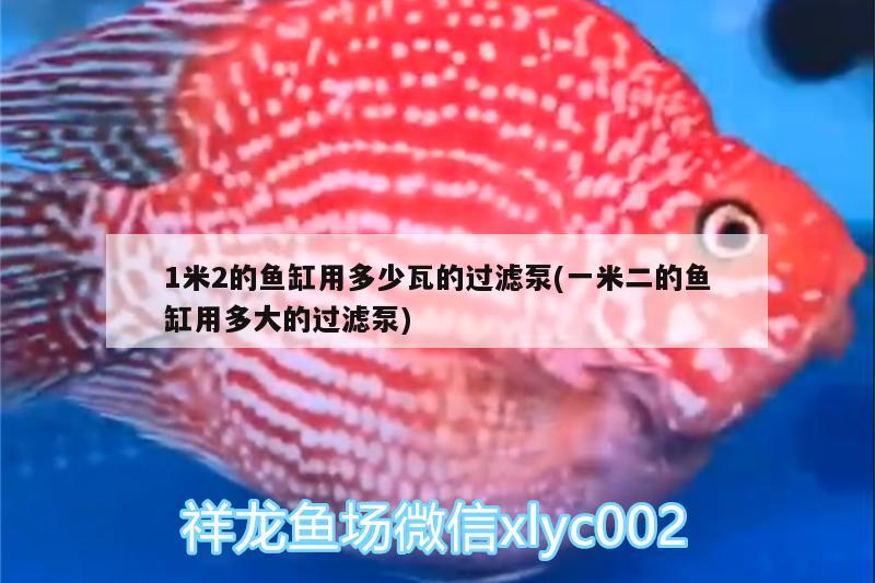 1米2的魚缸用多少瓦的過濾泵(一米二的魚缸用多大的過濾泵)