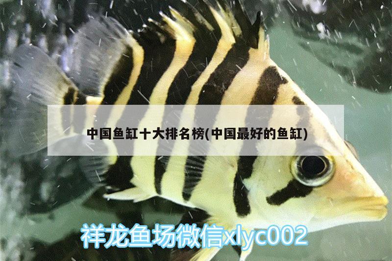 中國魚缸十大排名榜(中國最好的魚缸)