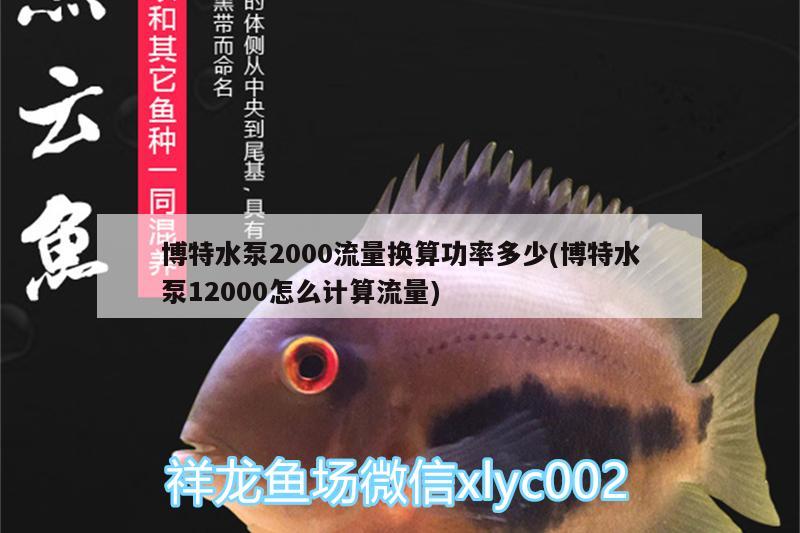 博特水泵2000流量換算功率多少(博特水泵12000怎么計(jì)算流量)