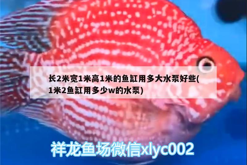 長2米寬1米高1米的魚缸用多大水泵好些(1米2魚缸用多少w的水泵) 斑馬鴨嘴魚