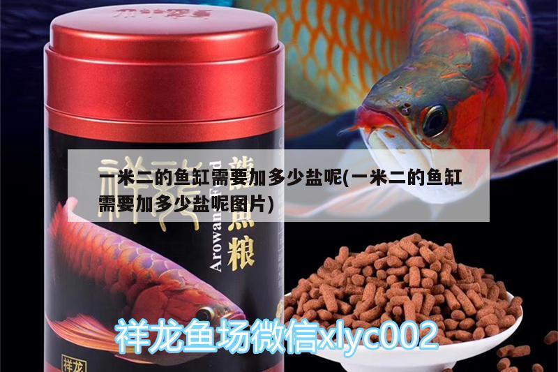 一米二的魚(yú)缸需要加多少鹽呢(一米二的魚(yú)缸需要加多少鹽呢圖片)